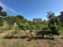 Satılır Torpaq suvelan, -8