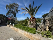 Satılır Torpaq suvelan, -12