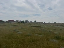 buzovnada Satılır Torpaq, -2