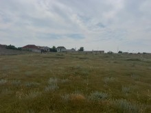 buzovnada Satılır Torpaq, -3