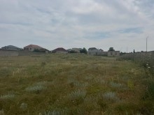 buzovnada Satılır Torpaq, -4