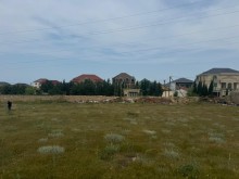 buzovnada Satılır Torpaq, -6