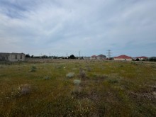 buzovnada Satılır Torpaq, -7