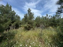 satilir-torpaq-baki-xezer-suvelan-2020-1747571359-s