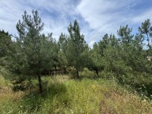 Satılır Torpaq suvelan, -2