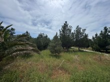 Satılır Torpaq suvelan, -6