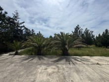 Satılır Torpaq suvelan, -7