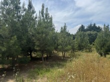 Satılır Torpaq suvelan, -9