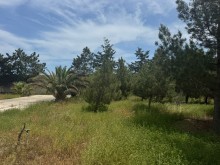 Satılır Torpaq suvelan, -10