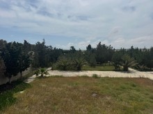 Satılır Torpaq suvelan, -12