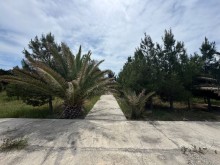 Satılır Torpaq suvelan, -13