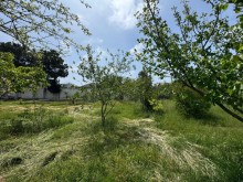 Satılır Torpaq merdekan, -2