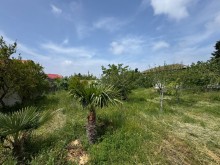 Satılır Torpaq merdekan, -7