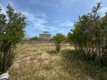 Satılır Torpaq sagan, -2