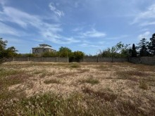 Satılır Torpaq sagan, -4