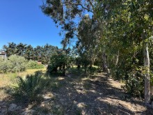 satilir-torpaq-baki-xezer-suvelan-2023-1747726408