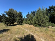 Satılır Torpaq suvelan, -2