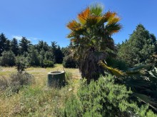 Satılır Torpaq suvelan, -3