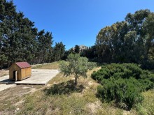 Satılır Torpaq suvelan, -5