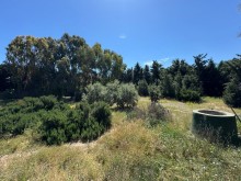 Satılır Torpaq suvelan, -8