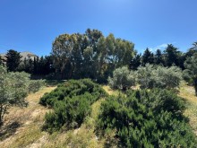 Satılır Torpaq suvelan, -9