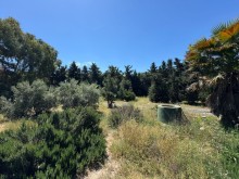 Satılır Torpaq suvelan, -11