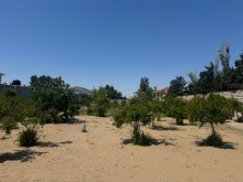 Satılır Torpaq suvelan, -2