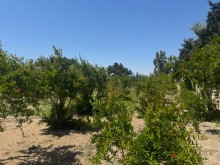 Satılır Torpaq suvelan, -3