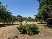 Satılır Torpaq suvelan, -4