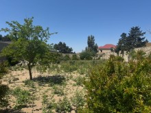 Satılır Torpaq suvelan, -6