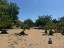 Satılır Torpaq suvelan, -7