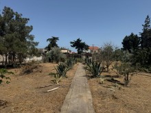 Satılır Torpaq suvelan, -9