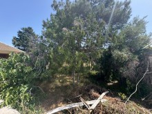 Satılır Torpaq suvelan, -4