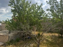 Продажа Участок merdekan, -4