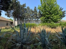 Satılır Torpaq merdekan, -5