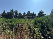 Satılır Torpaq merdekan, -6