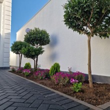 Badamdarda 3 mərtəbəli elit villa satılır, -19