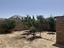 Buzovnada bağ evi və daimi yaşamaq üçün münasib ev satılır, -6