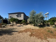 Satılır Torpaq sagan, -7