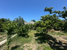 Satılır Torpaq merdekan, -6