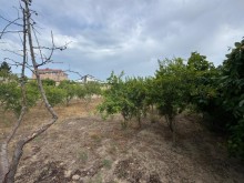 Satılır Torpaq merdekan, -5