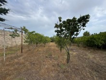 Satılır Torpaq merdekan, -6