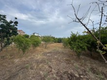 Satılır Torpaq merdekan, -7