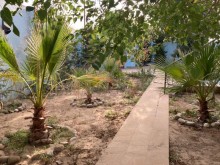 Şüvəlan Parka yaxın Meyvə ağacları ilə dolu əsl bağ evi satılır, -3