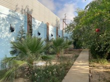 Şüvəlan Parka yaxın Meyvə ağacları ilə dolu əsl bağ evi satılır, -5