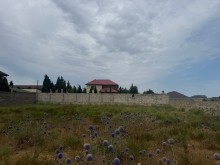 suvelan Sale Land, -6