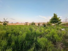 Şüvəlanda torpaq satilir, -3