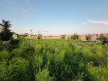 Şüvəlanda torpaq satilir, -6