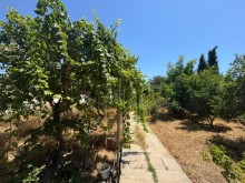 sagan Satılır Torpaq, -4