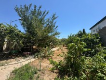 sagan Satılır Torpaq, -5